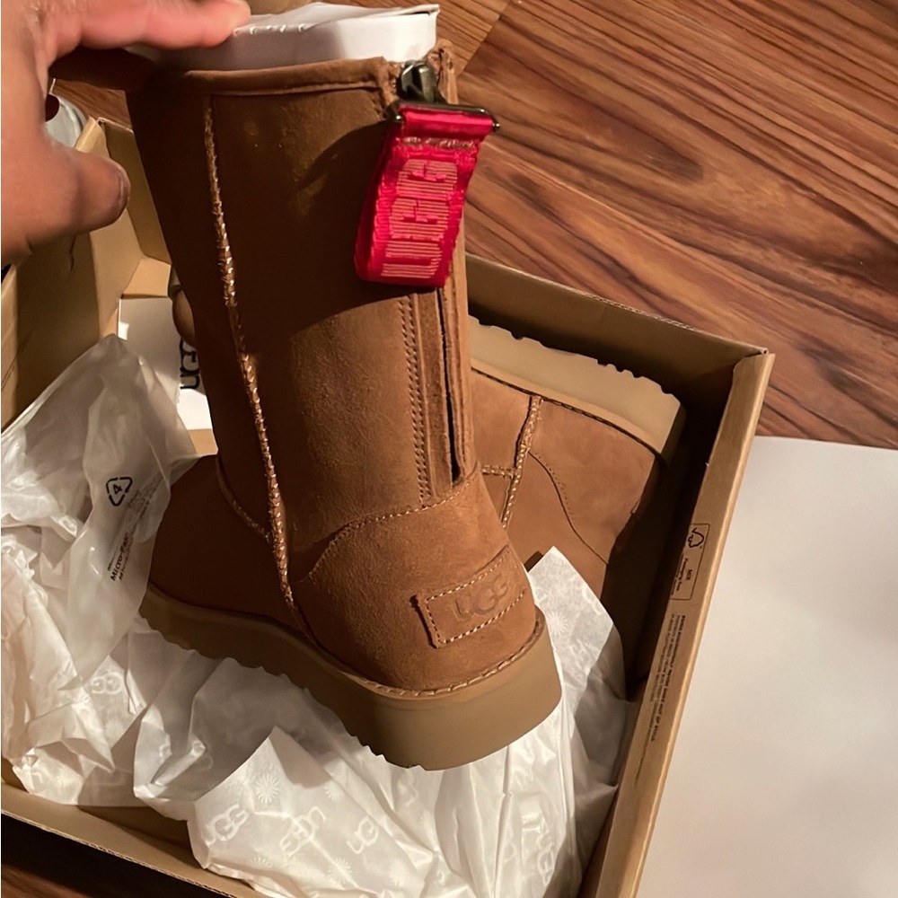 Chestnut Uggs woman